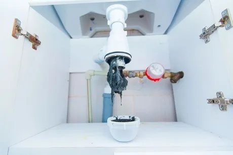 drain cleaning kitchen sink